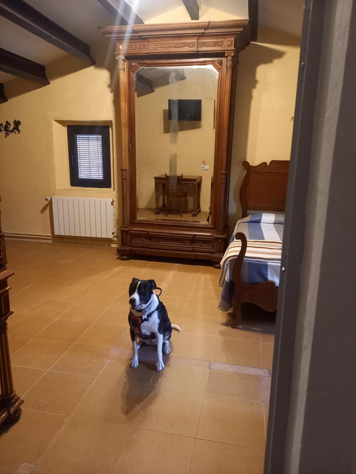 Rural Mas Blanc Guest house 3*