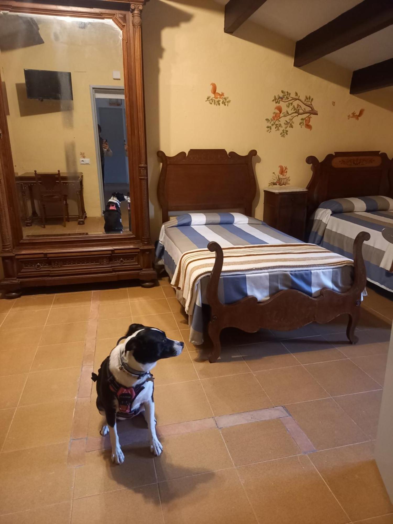 Guest house Rural Mas Blanc San Martin de Centellas
