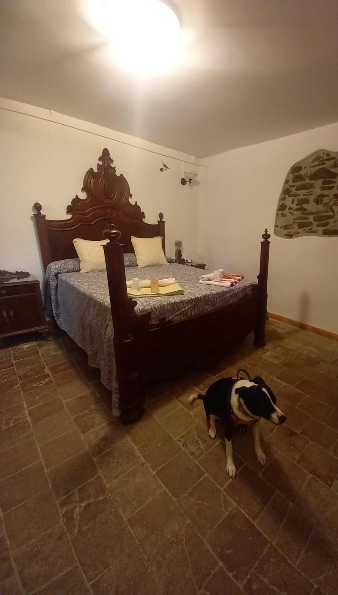 Rural Mas Blanc 3*