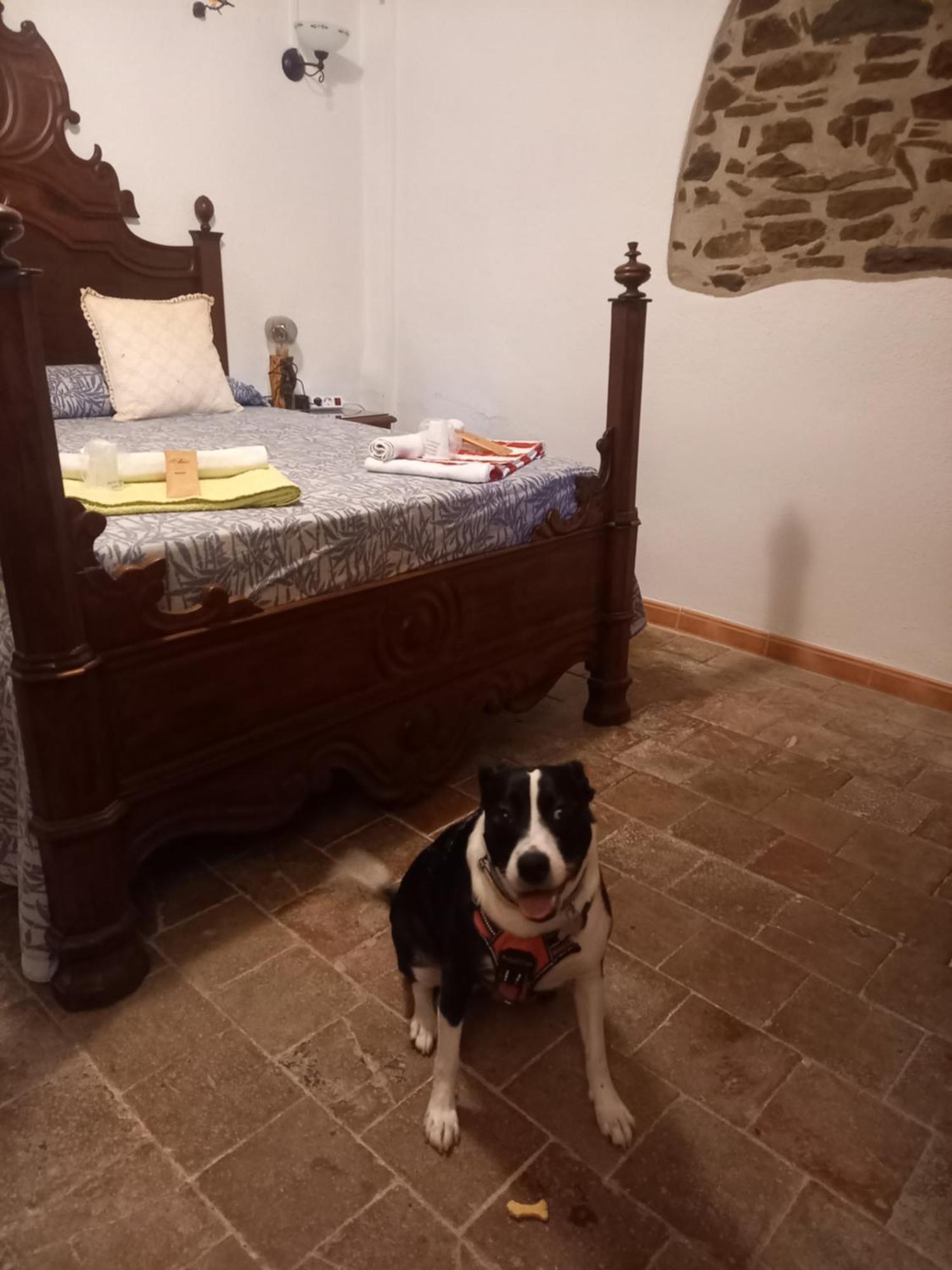 Guest house Rural Mas Blanc