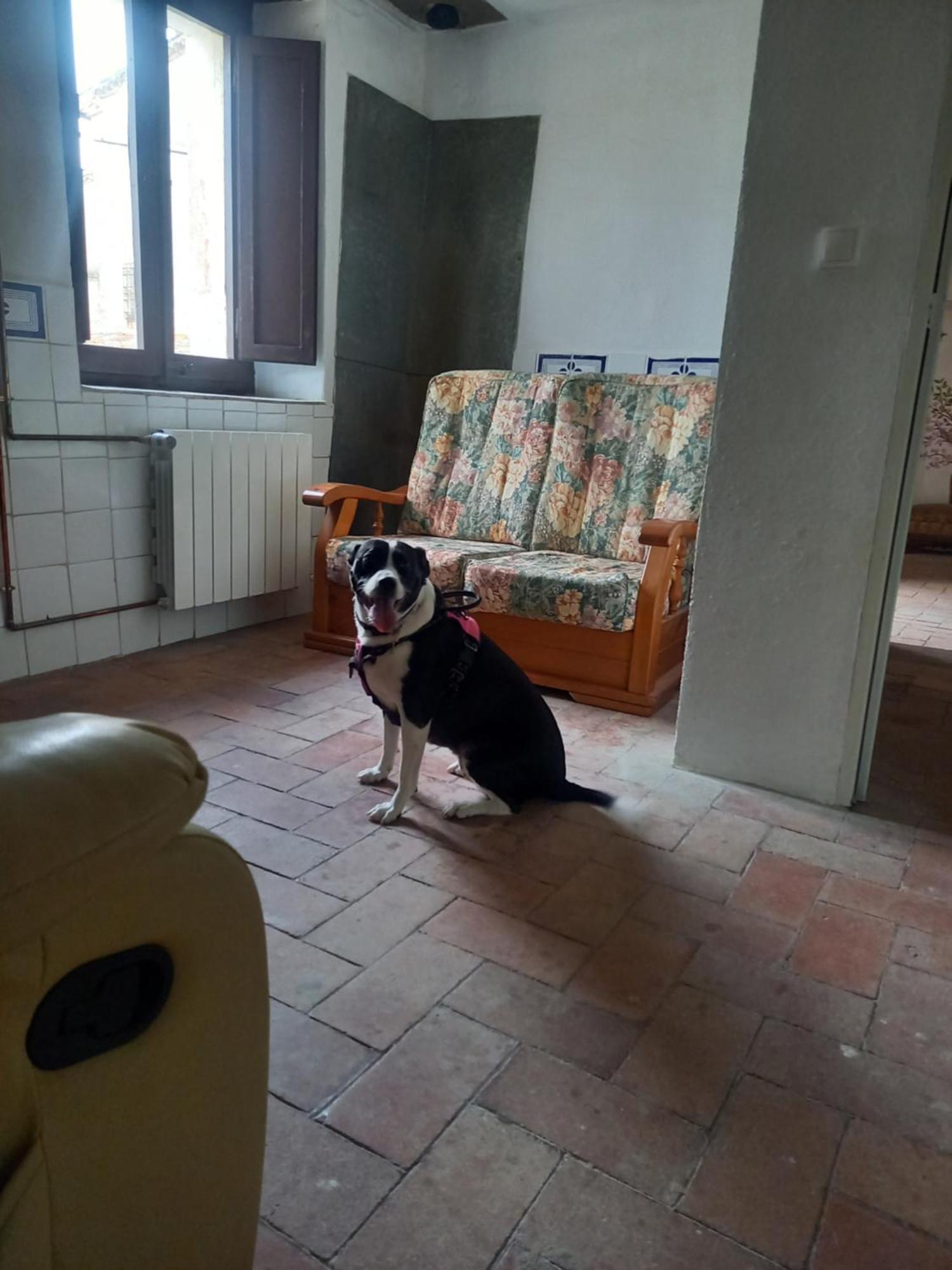 Rural Mas Blanc Gasthuis 3*