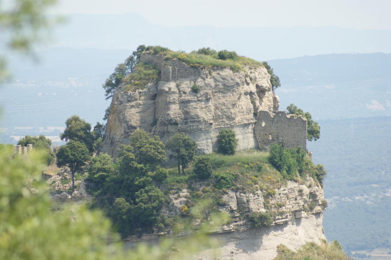 Rural Mas Blanc Guest house 3*